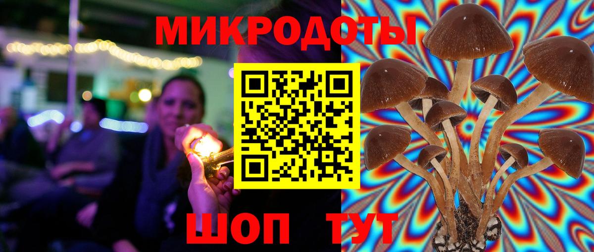 Галлюциногенные грибы ЛСД  Галлюциногенные грибы Psilocybine cubensis  Вход с VPN  Каменка 